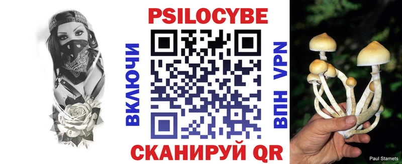 Галлюциногенные грибы Psilocybe  Купить  Власиха 